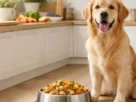 alimentação para cachorro